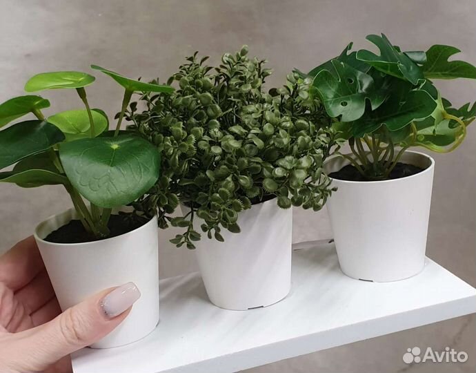 IKEA Цветы искусственные в горшочках. Суккулент