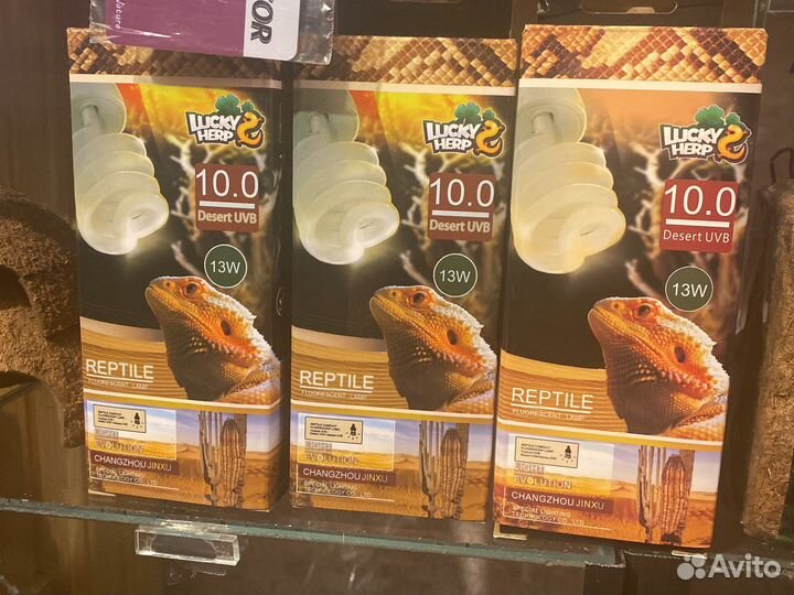 Уф лампа для террариума