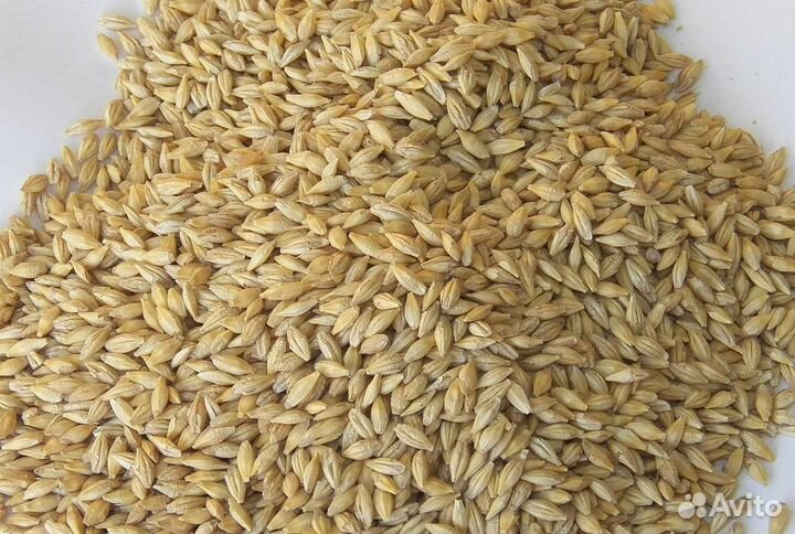 Комбикорм для кур несушек