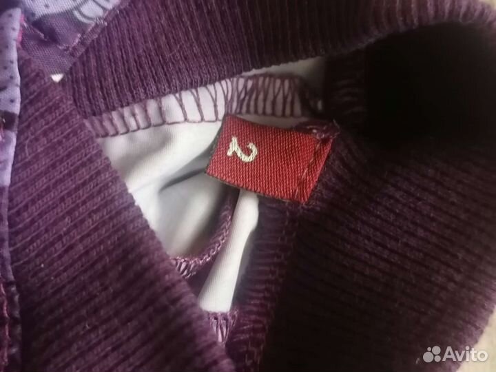 Одежда для собак