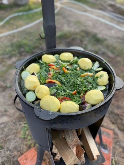 Участок 8 сот. (СНТ, ДНП)