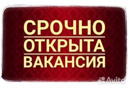 Дворник (Северо-Запад)