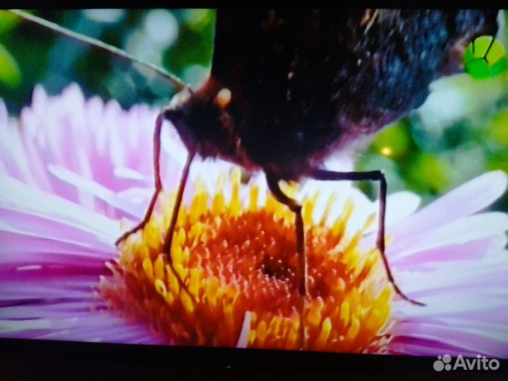 Телевизор sony bravia Ж.К. 40 дюймов