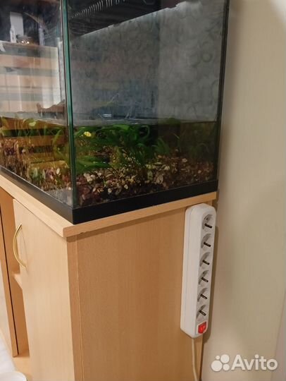 Aquael аквариум 100 литров