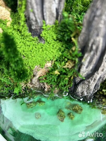 Моссариум с водоемом 