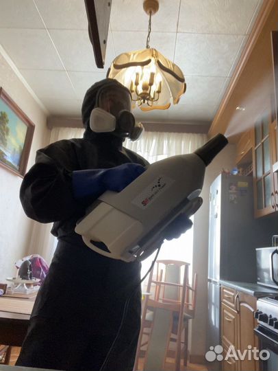 Дезинфекция Уничтожение обработка тараканов клопов