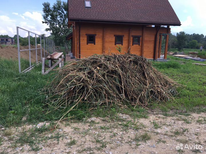 Вывоз мусора хлама веток