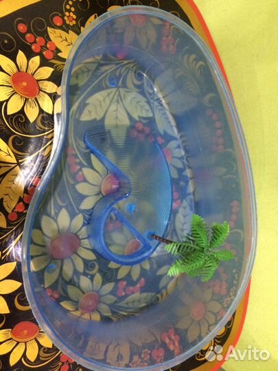 Черепашник