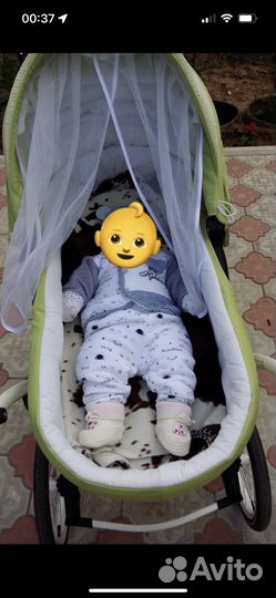 Коляска люлька и прогулочная 2/1