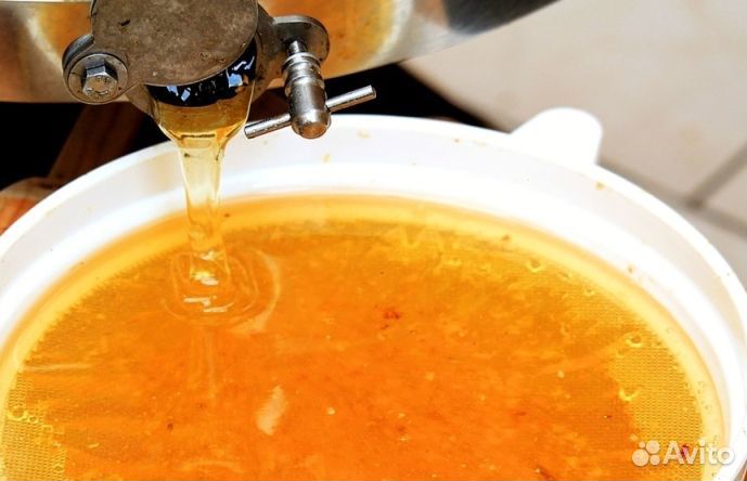Мёд натуральный алтайский оптом минимально 16 кг