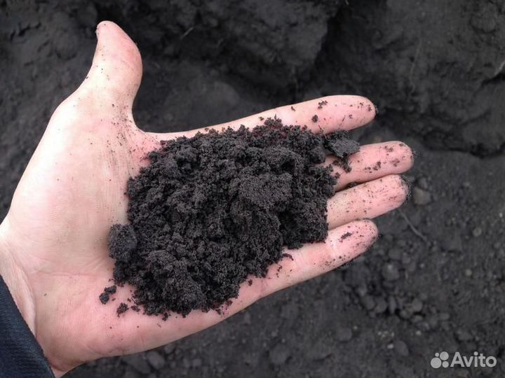 Чернозем, плодородная земля с доставкой