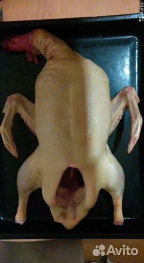 Мясо бройлерной утки