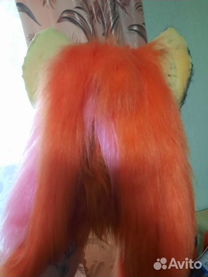 Фурсьют кошка,рысь,собака,лиса