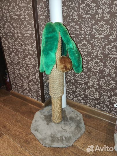 Когтеточка