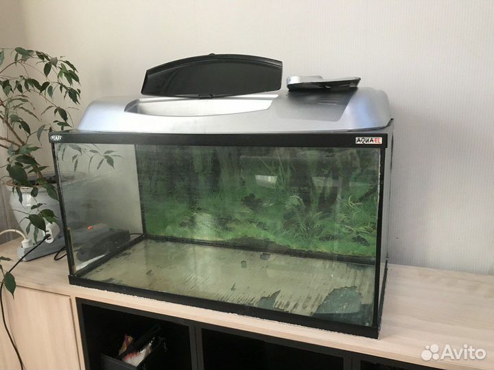 Аквариум