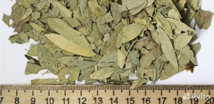 Специи и приправы оптом