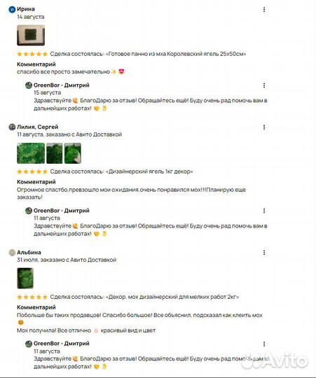Вечно зеленый мох для интерьера дизайн стен