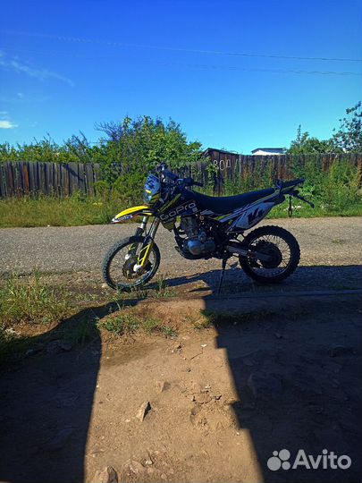 Райсер 250
