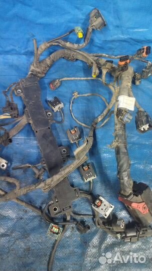 Коса двигателя проводка моторного отсека D20DTF CK