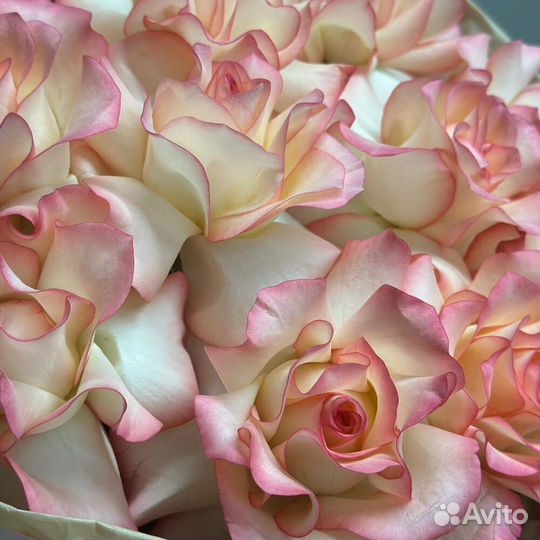 Букет из французских роз 