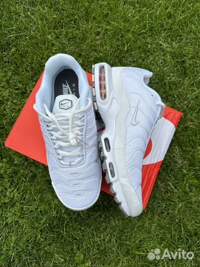 Nike Air Max TN Plus