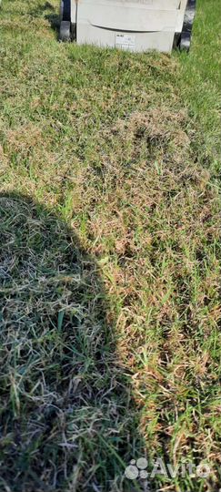 Аренда аэратор скарификатор вертикуттер