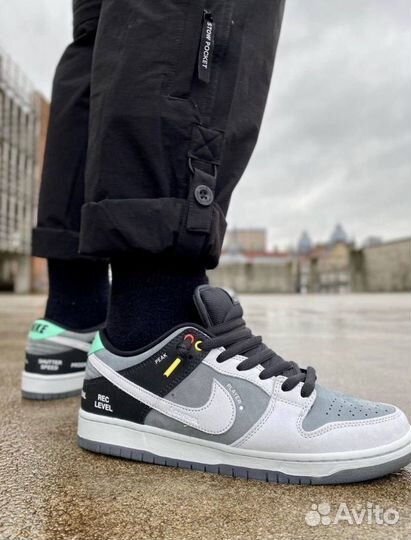 Nike dunk sb low pro vx1000 camcorder