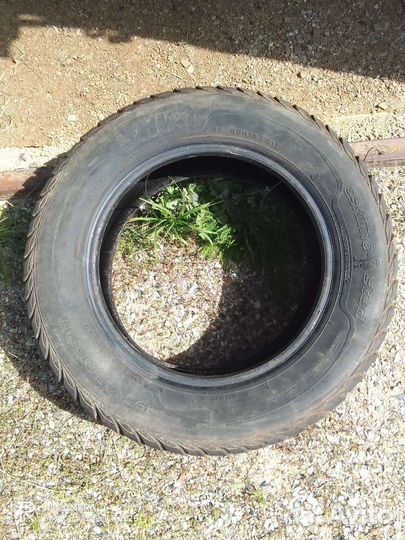 Sava Eskimo Stud 195/65 R15