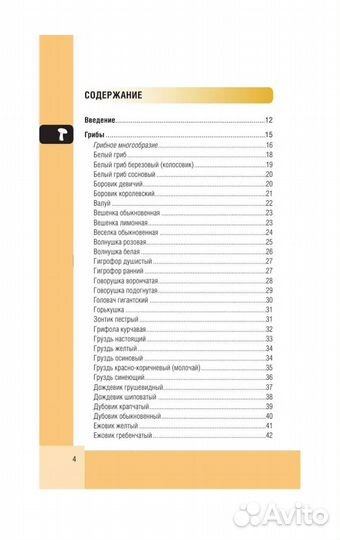 Книга Лесной гид грибы, ягоды, травы