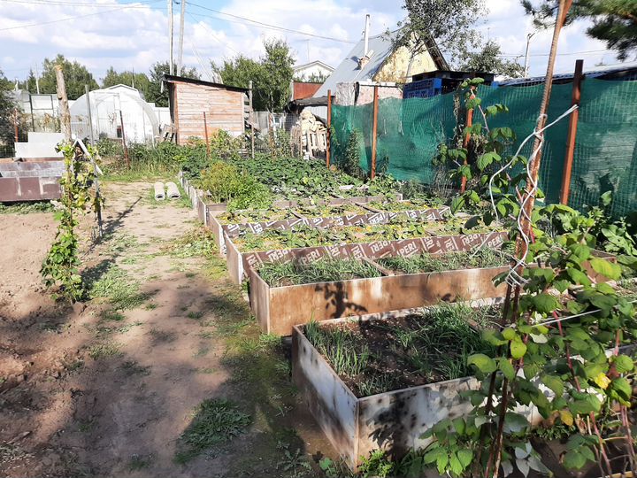 Участок 6 сот. (СНТ, ДНП)