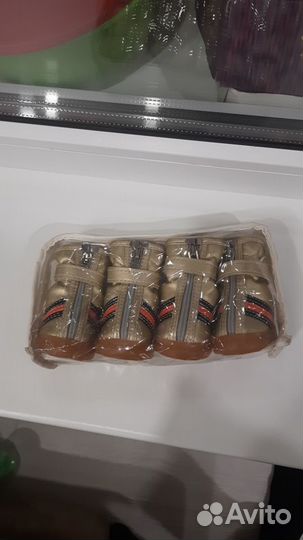 Обувь для маленьких собак