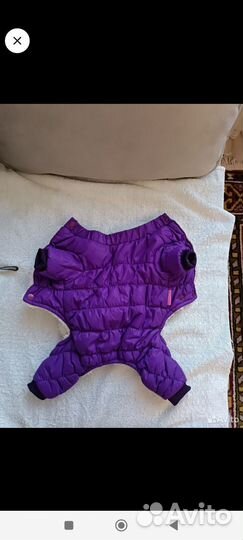 Вещи для маленьких собак