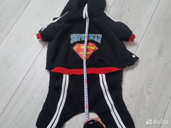 Костюм для собаки