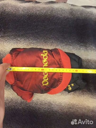 Одежда для собак