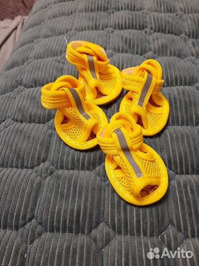 Обувь для маленьких собак