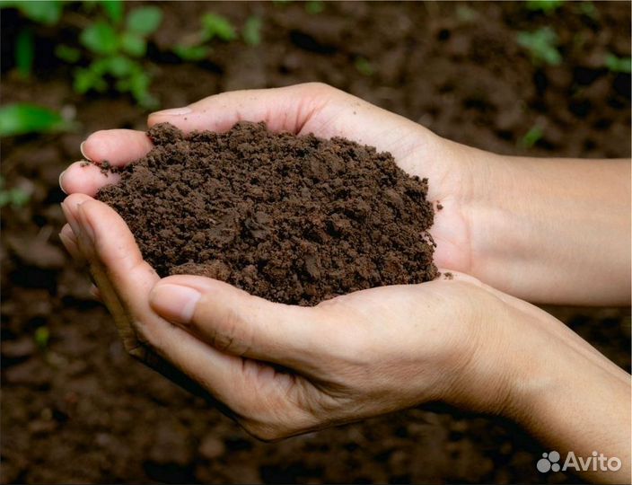 Чернозем Грунт Торф Земля