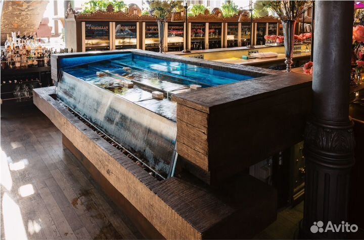 Аквариум для устриц