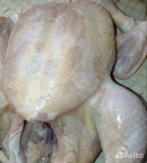 Куры домашние мясо