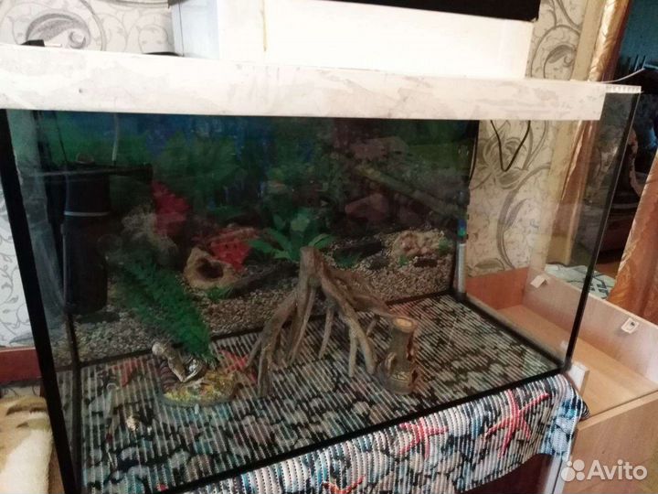 Аквариум