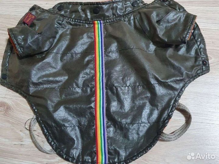 Одежда для маленьких собак и пеленки