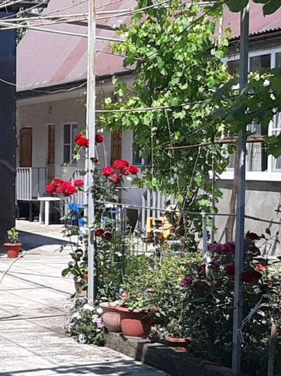 Квартира (Абхазия)