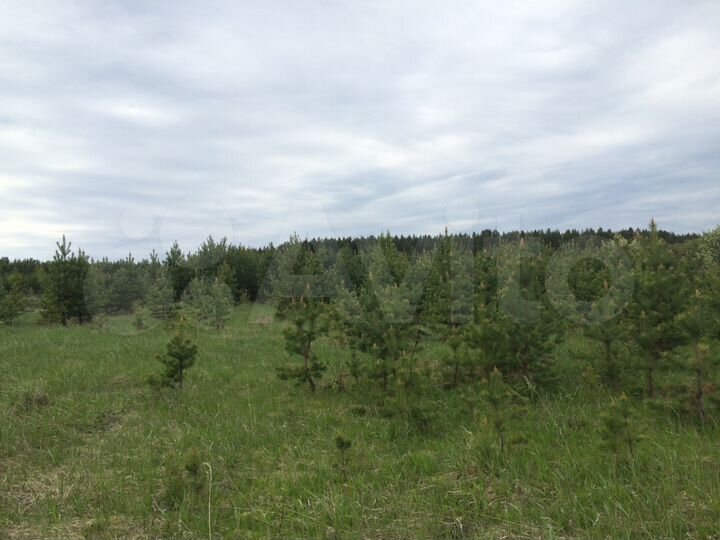 Участок 40 сот. (ИЖС)