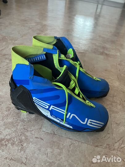 Лыжные ботинки классические Spine