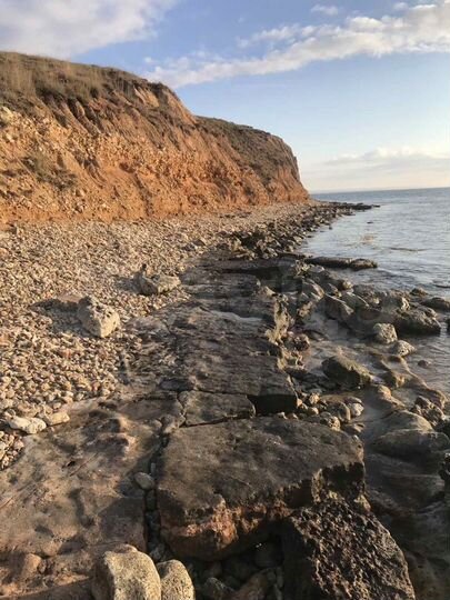 Участок 100 сот. (СНТ, ДНП)