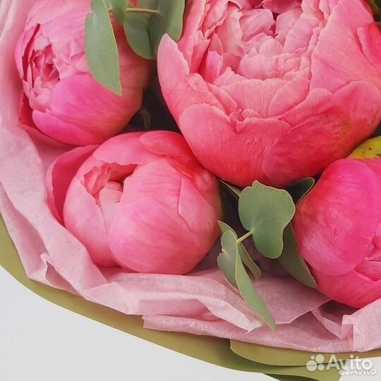 Букет свежих пионов