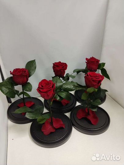 Подарок маме / Роза в колбе оптом