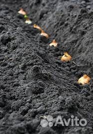 Чернозем плодородный грунт планировочная земля