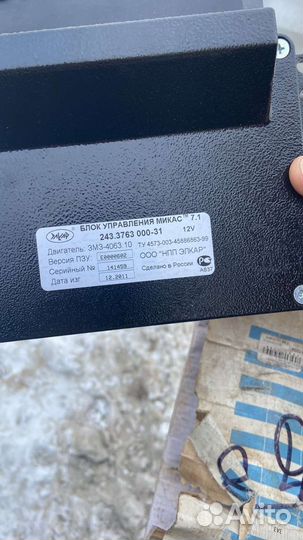 Мозги газель