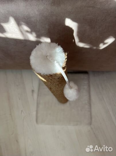 Когтеточка-столбик