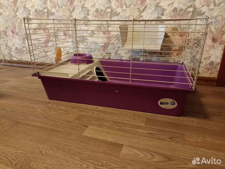 Клетка для морской свинки